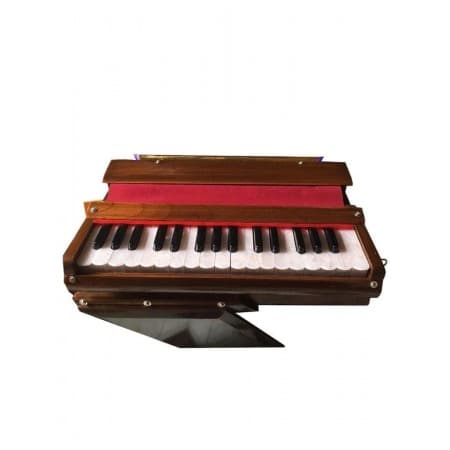 Фисгармония санкиртана (Harmonium, sankirtana), Вриндаван (Vrindavan) фото