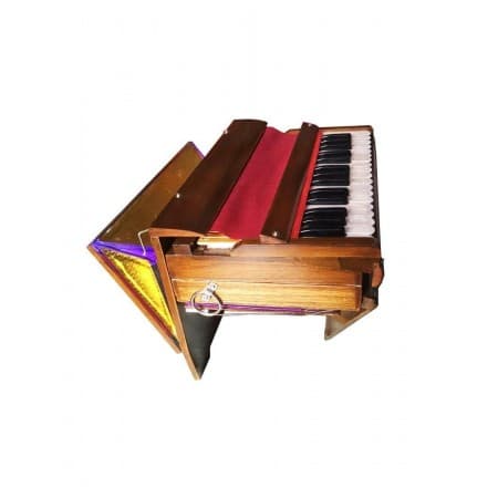 Фисгармония, санкиртана фото