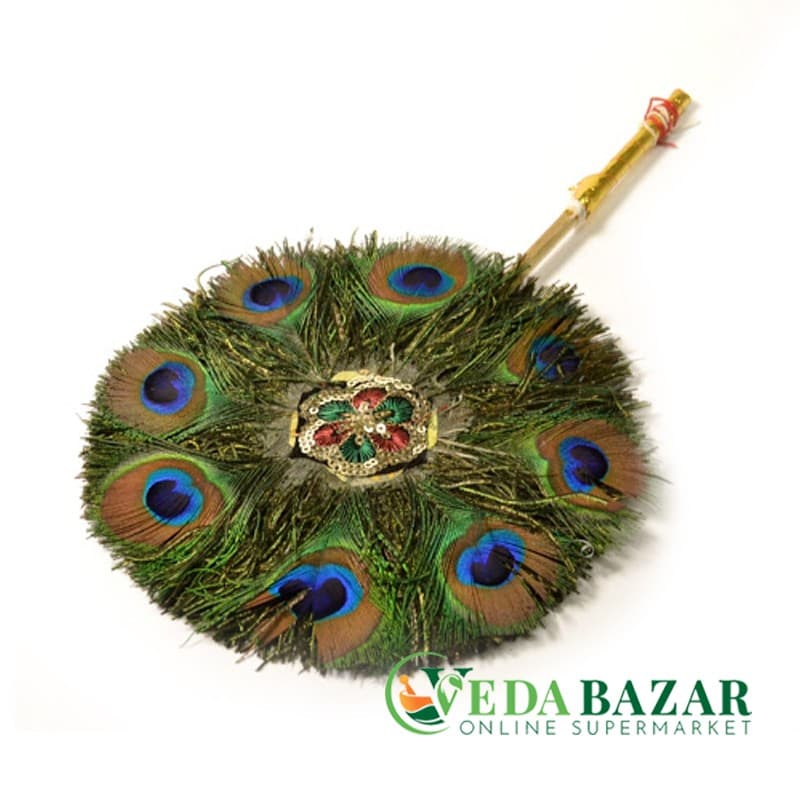 Веер хвост павлина (Peacock tail fan), средний размер фото