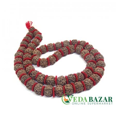 Бархатная Рудракша Мала, энергетический пятиликий (Five Face Velvet Rudraksha mala), 2 см, 54 бусин, Непал (Nepal) фото