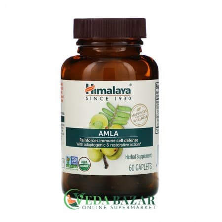 Препарат для Иммунитета Амла (Amla), 60 Кап, Хималая (Himalaya) фото